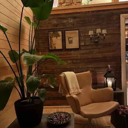 וילה Torppa, Puusauna Ja Ilmastointi