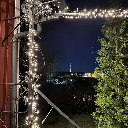 Villa Torppa, Puusauna Ja Ulkoporeallas *