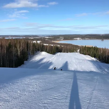 Torppa, Puusauna Ja Ilmastointi Villa Lahti