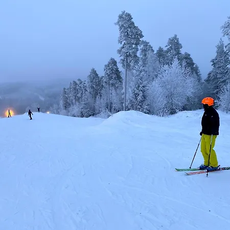 Torppa, Puusauna Ja Ilmastointi *